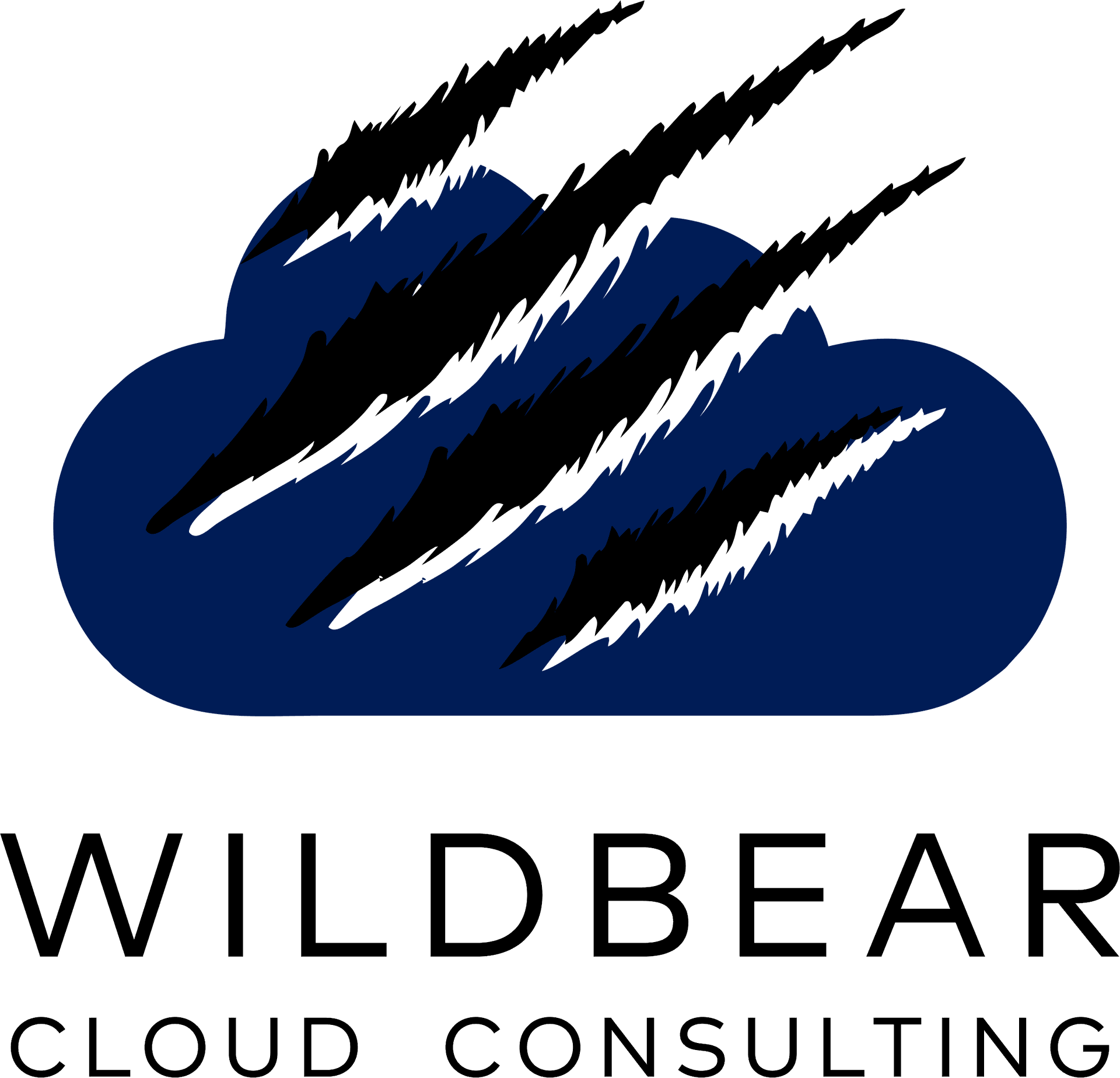 Wild Bear Cloud Consulting